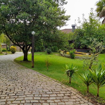 Quinta Do Bosque Villa Vagos Exterior photo